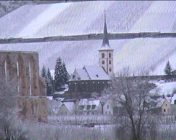 Kleines Winzerhauschen Villa Bremm Bilik gambar