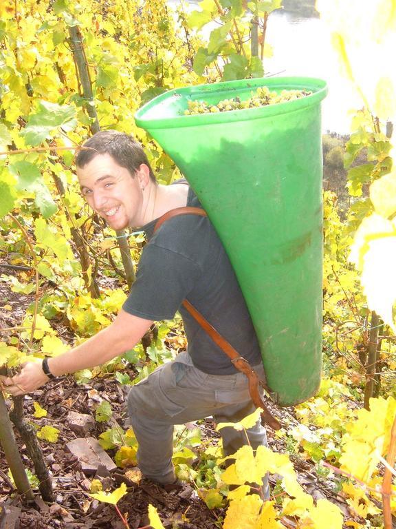 Kleines Winzerhauschen Villa Bremm Bilik gambar