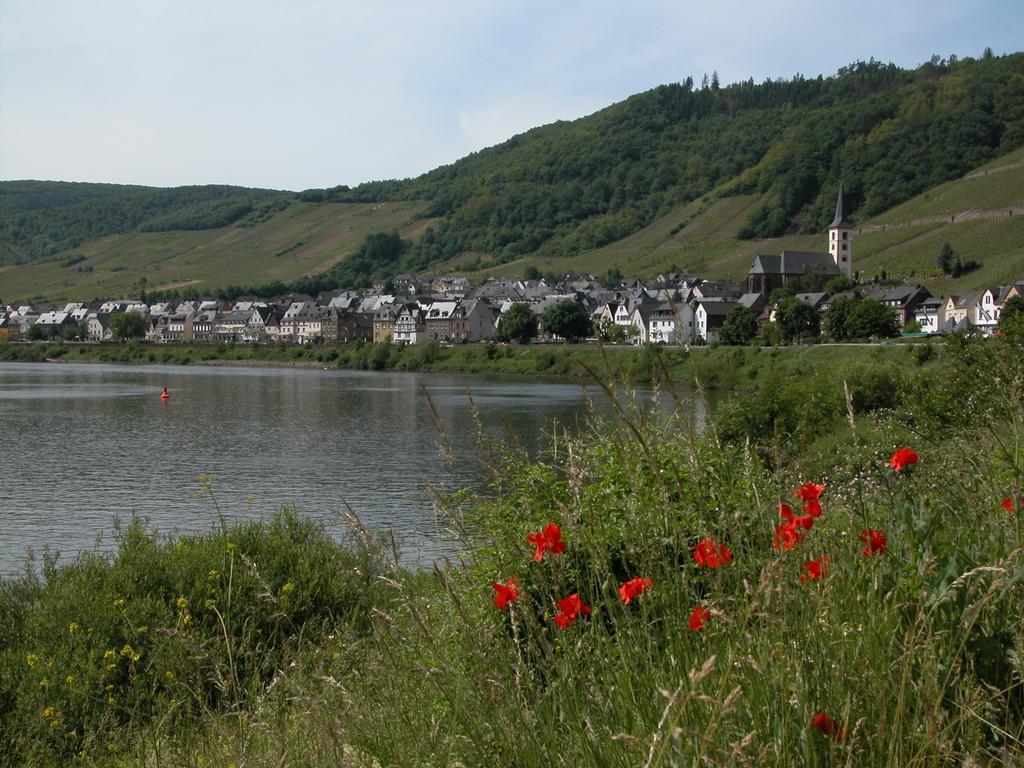 Kleines Winzerhauschen Villa Bremm Bilik gambar